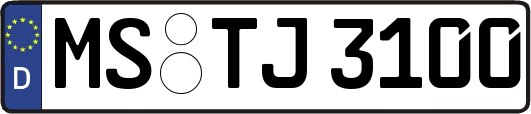 MS-TJ3100