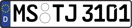 MS-TJ3101