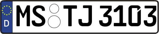 MS-TJ3103
