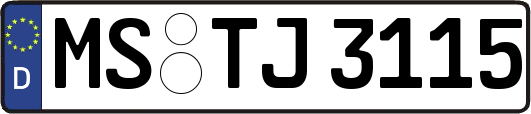 MS-TJ3115