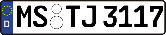 MS-TJ3117