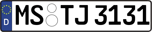MS-TJ3131