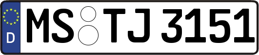 MS-TJ3151