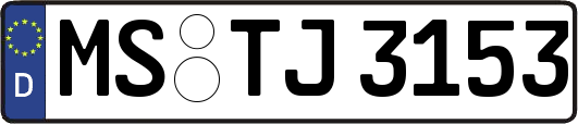 MS-TJ3153