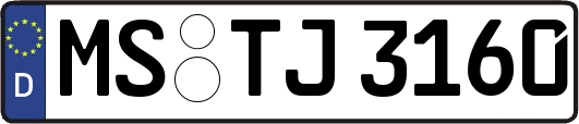 MS-TJ3160