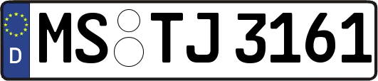 MS-TJ3161