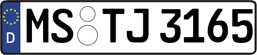MS-TJ3165