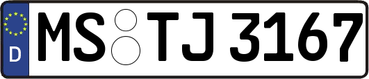 MS-TJ3167