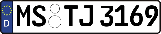 MS-TJ3169