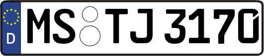 MS-TJ3170