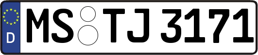 MS-TJ3171