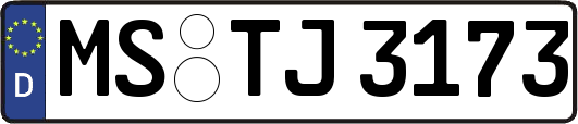 MS-TJ3173