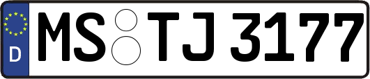 MS-TJ3177