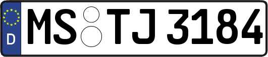 MS-TJ3184