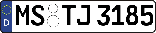 MS-TJ3185