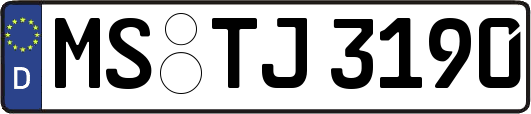 MS-TJ3190