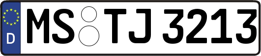 MS-TJ3213