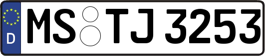 MS-TJ3253