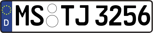 MS-TJ3256