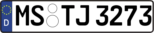 MS-TJ3273
