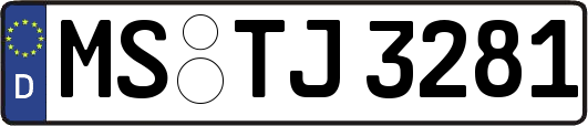 MS-TJ3281