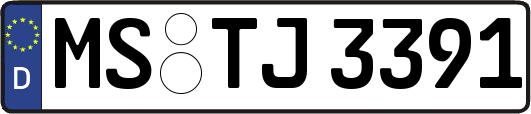 MS-TJ3391