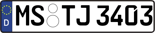 MS-TJ3403