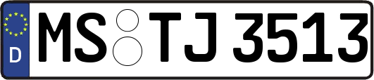 MS-TJ3513