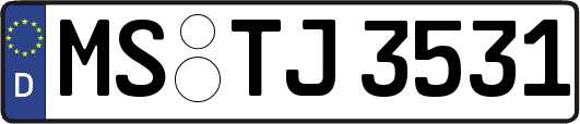 MS-TJ3531