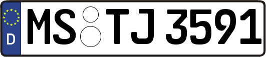MS-TJ3591