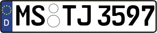 MS-TJ3597