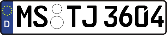 MS-TJ3604