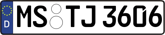 MS-TJ3606