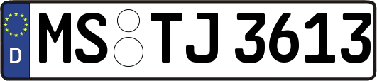 MS-TJ3613