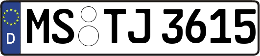 MS-TJ3615