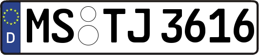 MS-TJ3616