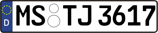 MS-TJ3617