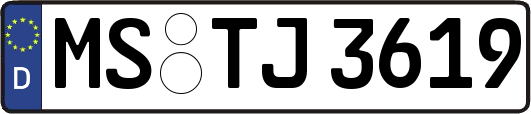 MS-TJ3619