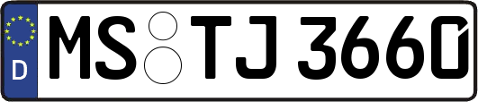 MS-TJ3660