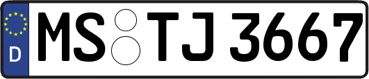 MS-TJ3667