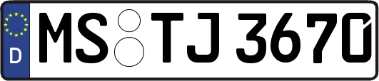 MS-TJ3670