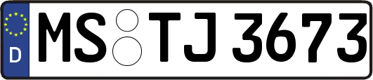 MS-TJ3673