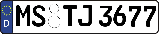 MS-TJ3677