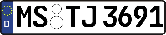 MS-TJ3691