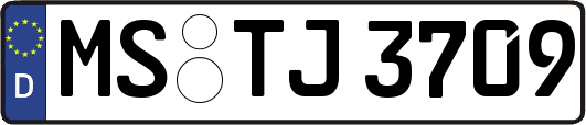 MS-TJ3709
