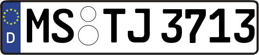 MS-TJ3713
