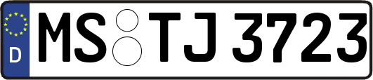 MS-TJ3723