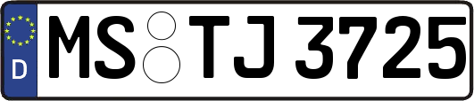 MS-TJ3725