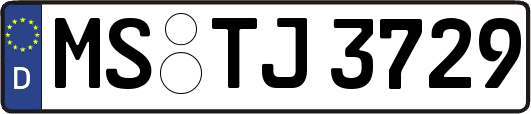 MS-TJ3729