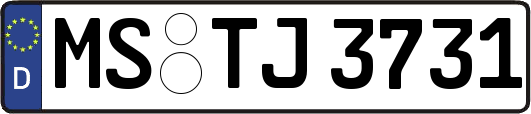 MS-TJ3731